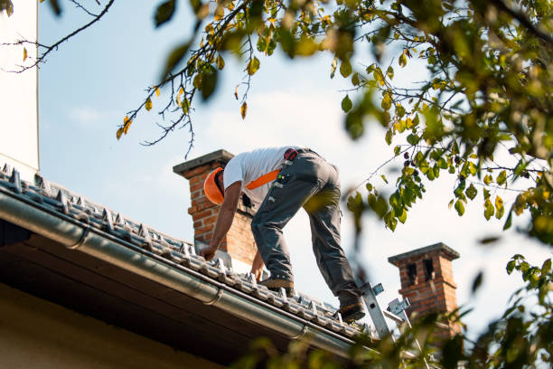 Roof Gutter Cleaning in Mountain Village, CO